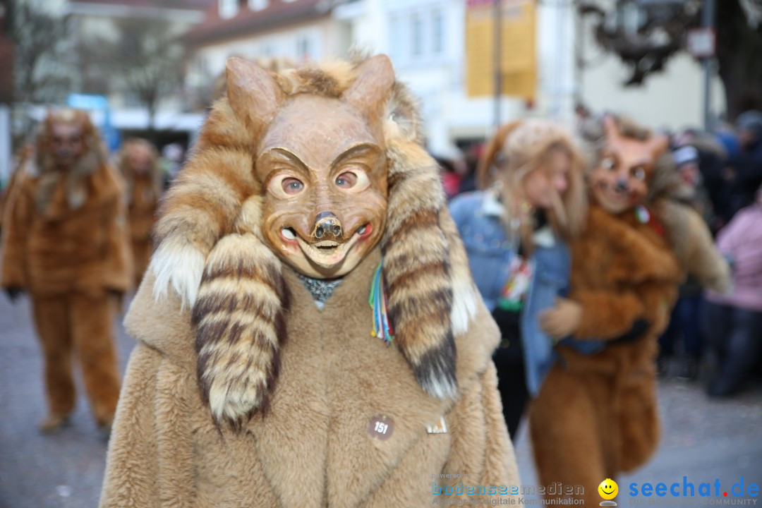 Grosser Narrensprung: Langenargen am Bodensee, 19.01.2020