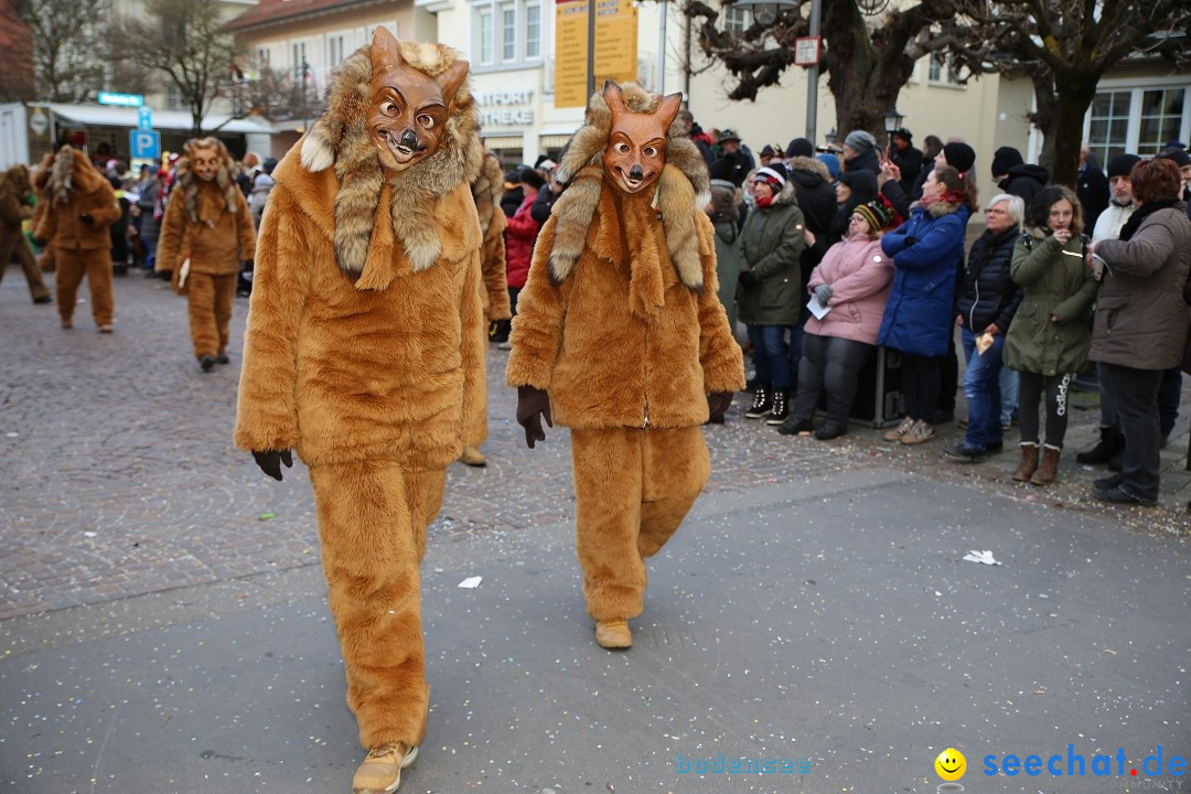 Grosser Narrensprung: Langenargen am Bodensee, 19.01.2020