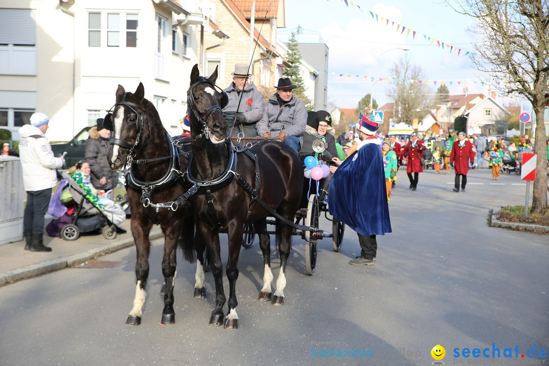 Grosser Narrensprung: Langenargen am Bodensee, 19.01.2020