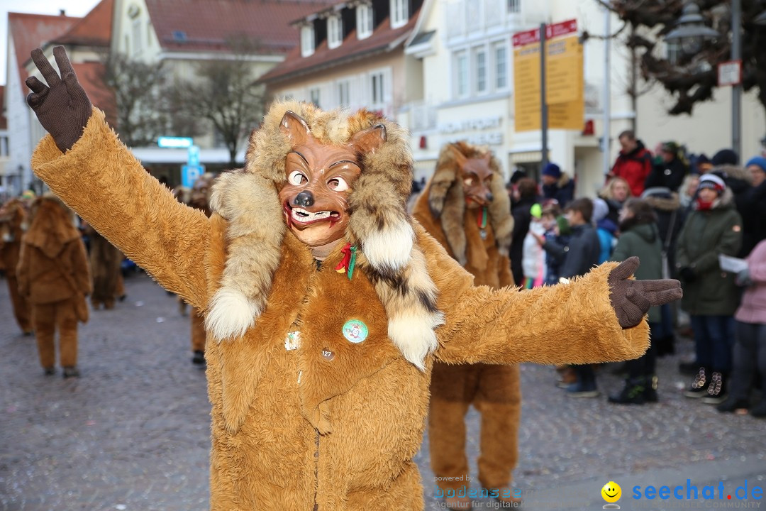 Grosser Narrensprung: Langenargen am Bodensee, 19.01.2020