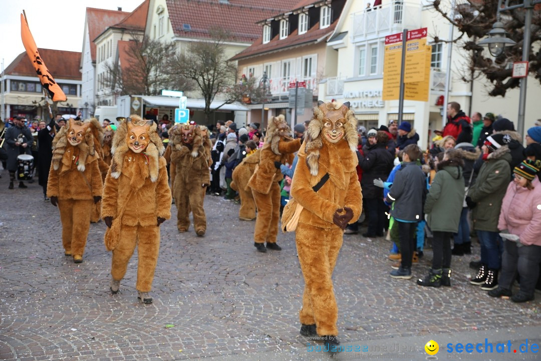 Grosser Narrensprung: Langenargen am Bodensee, 19.01.2020