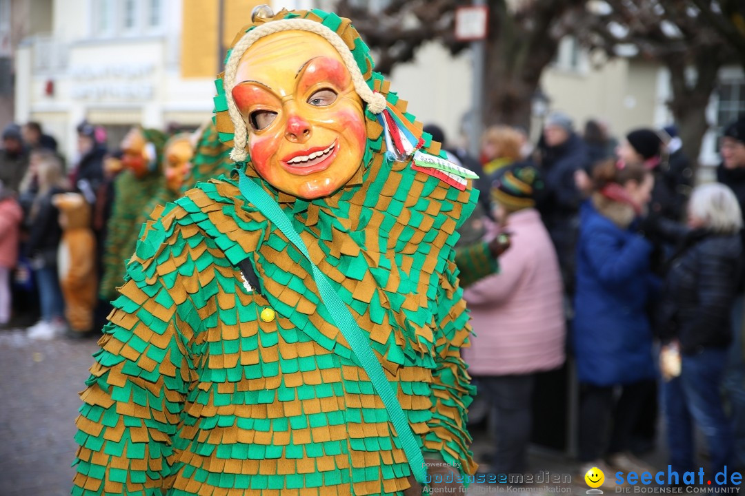 Grosser Narrensprung: Langenargen am Bodensee, 19.01.2020