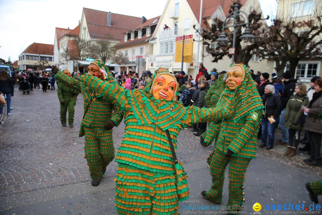 Grosser Narrensprung: Langenargen am Bodensee, 19.01.2020