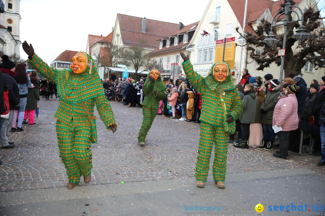 Grosser Narrensprung: Langenargen am Bodensee, 19.01.2020