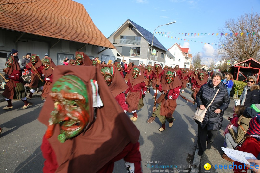 Grosser Narrensprung: Langenargen am Bodensee, 19.01.2020