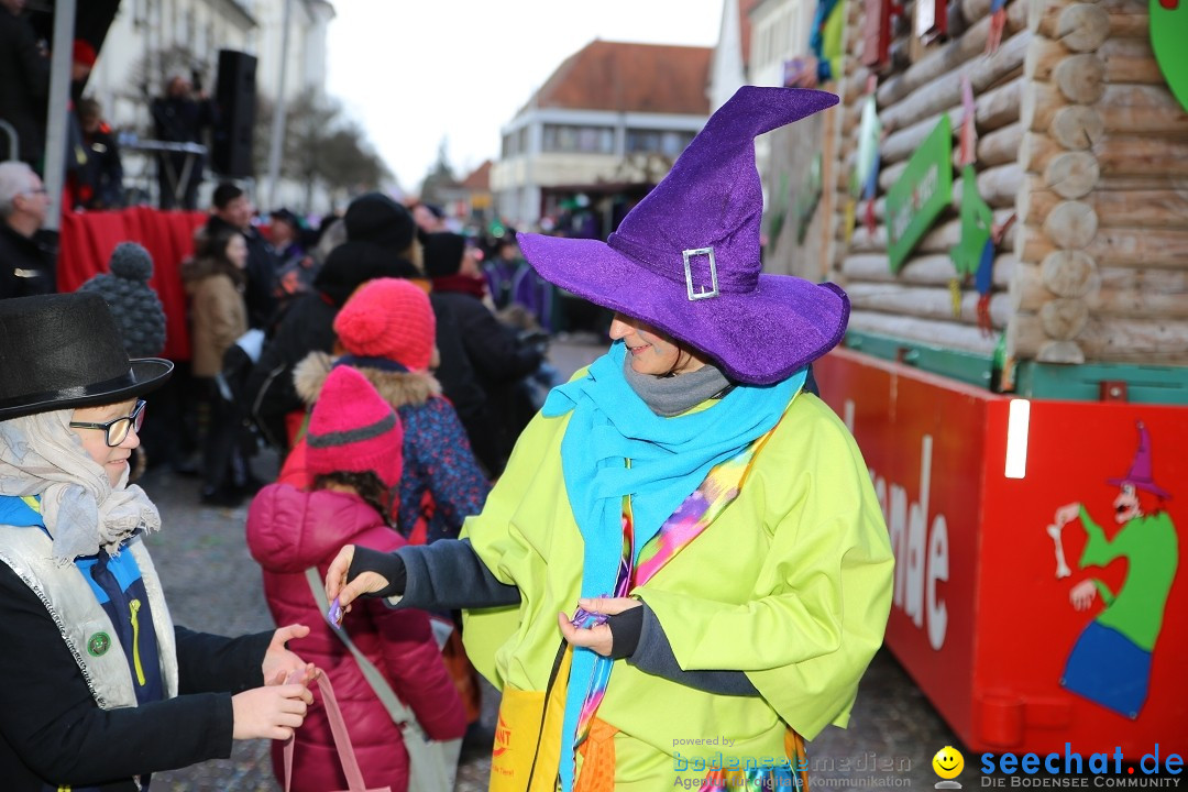 Grosser Narrensprung: Langenargen am Bodensee, 19.01.2020