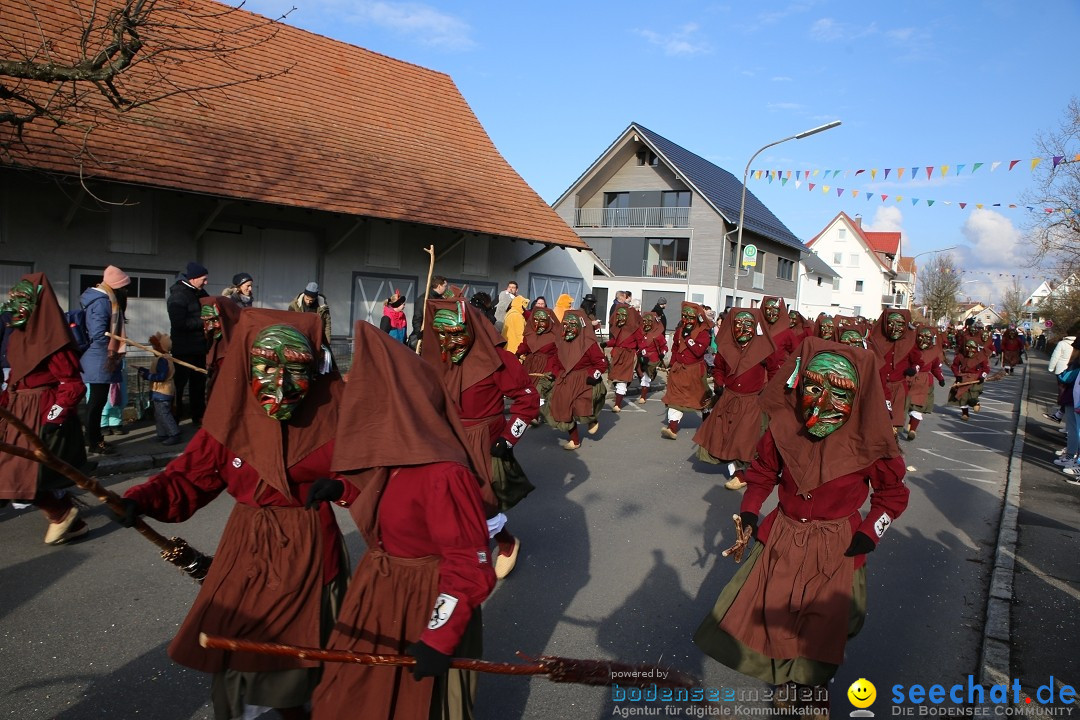 Grosser Narrensprung: Langenargen am Bodensee, 19.01.2020