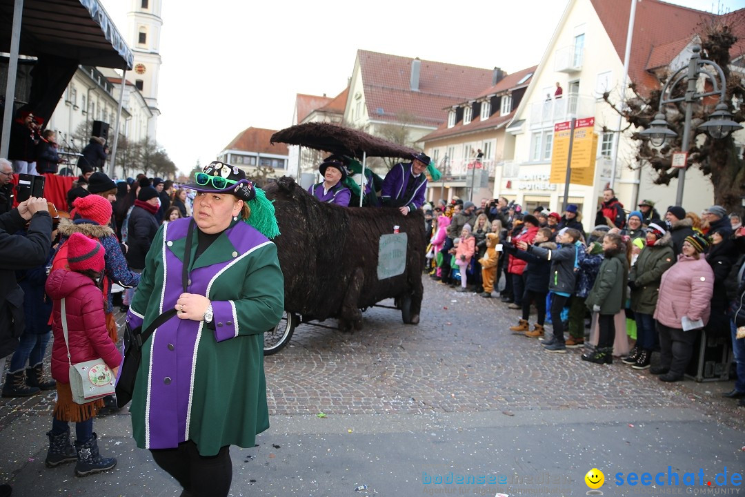 Grosser Narrensprung: Langenargen am Bodensee, 19.01.2020