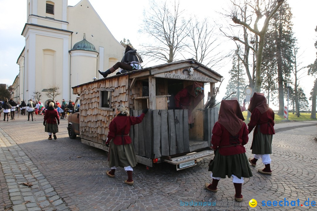 Grosser Narrensprung: Langenargen am Bodensee, 19.01.2020