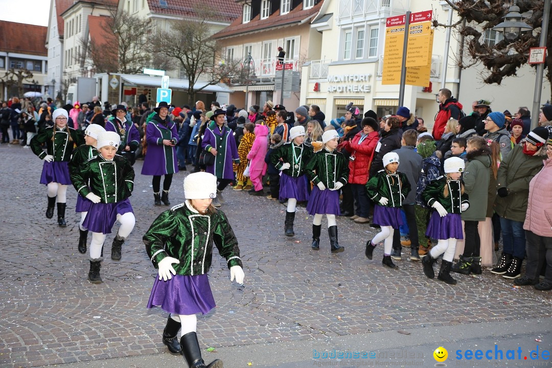 Grosser Narrensprung: Langenargen am Bodensee, 19.01.2020