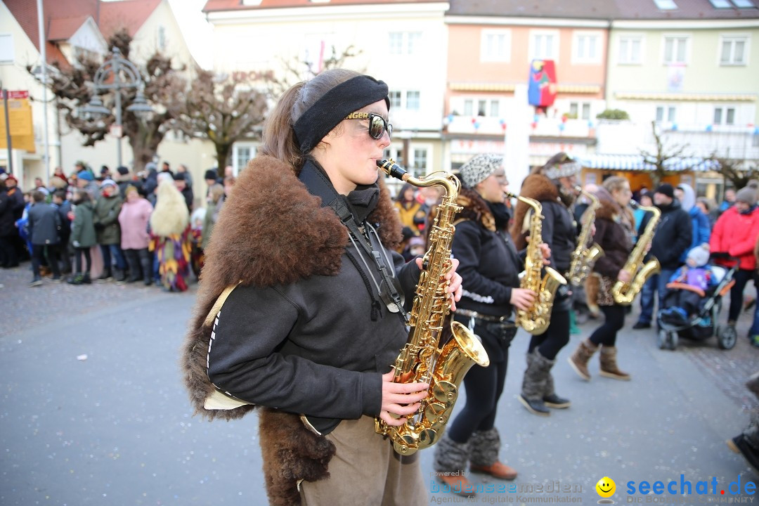 Grosser Narrensprung: Langenargen am Bodensee, 19.01.2020