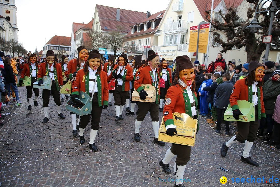 Grosser Narrensprung: Langenargen am Bodensee, 19.01.2020