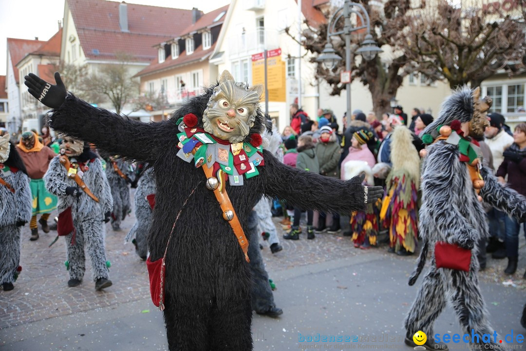 Grosser Narrensprung: Langenargen am Bodensee, 19.01.2020