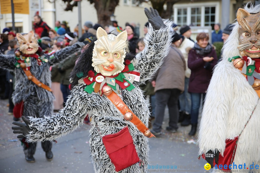 Grosser Narrensprung: Langenargen am Bodensee, 19.01.2020