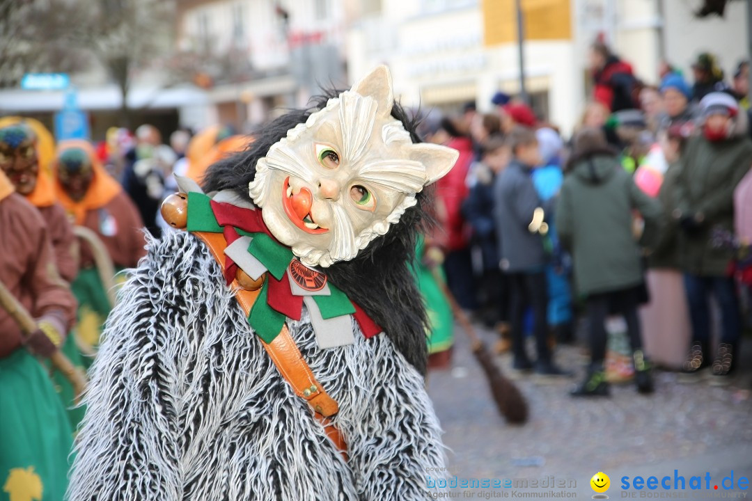 Grosser Narrensprung: Langenargen am Bodensee, 19.01.2020