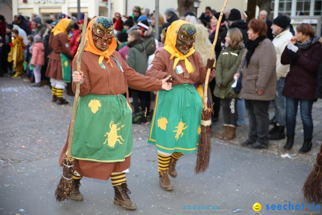 Grosser Narrensprung: Langenargen am Bodensee, 19.01.2020