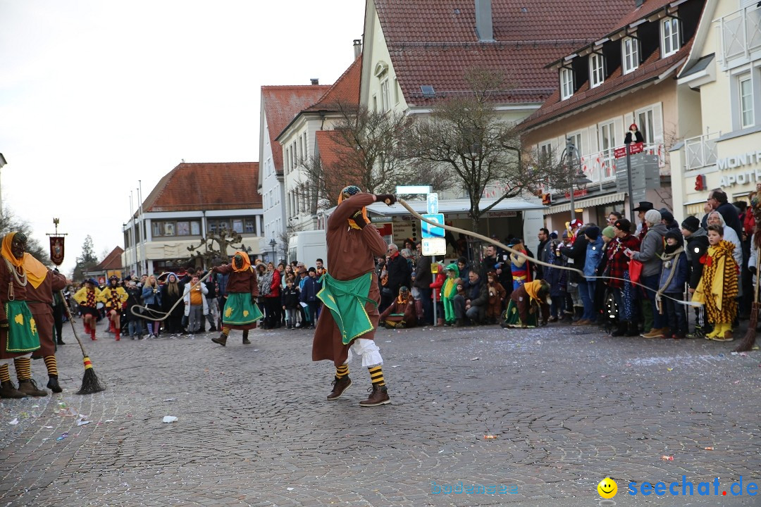 Grosser Narrensprung: Langenargen am Bodensee, 19.01.2020