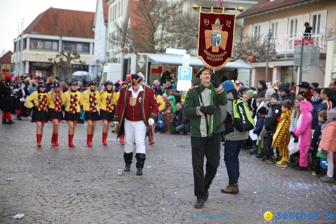 Grosser Narrensprung: Langenargen am Bodensee, 19.01.2020