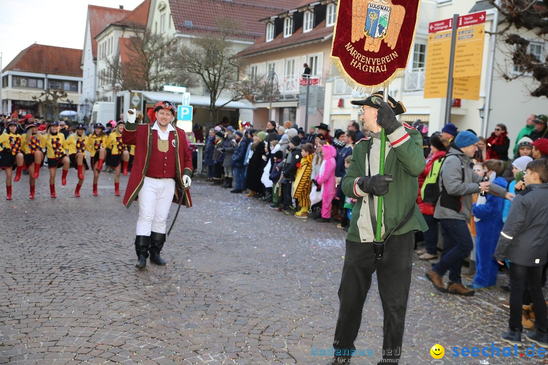 Grosser Narrensprung: Langenargen am Bodensee, 19.01.2020