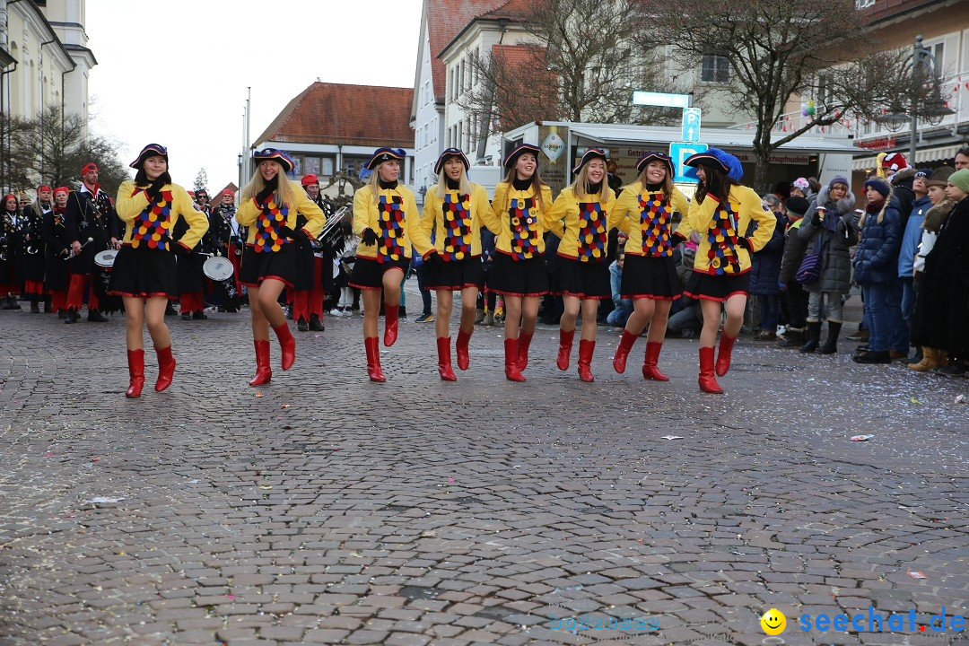 Grosser Narrensprung: Langenargen am Bodensee, 19.01.2020