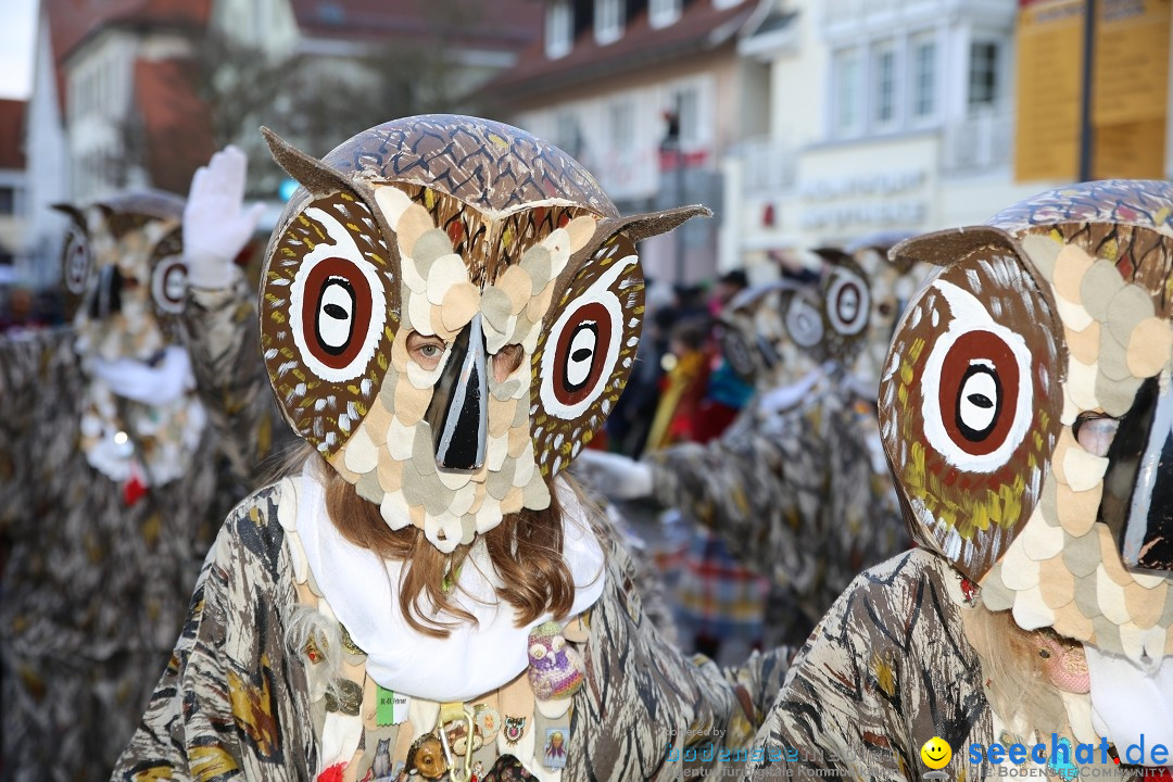 Grosser Narrensprung: Langenargen am Bodensee, 19.01.2020