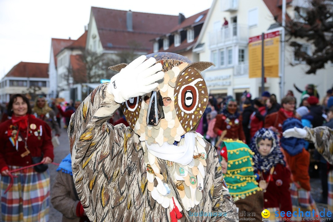 Grosser Narrensprung: Langenargen am Bodensee, 19.01.2020