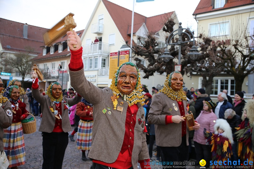 Grosser Narrensprung: Langenargen am Bodensee, 19.01.2020