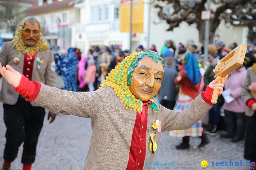 Grosser Narrensprung: Langenargen am Bodensee, 19.01.2020