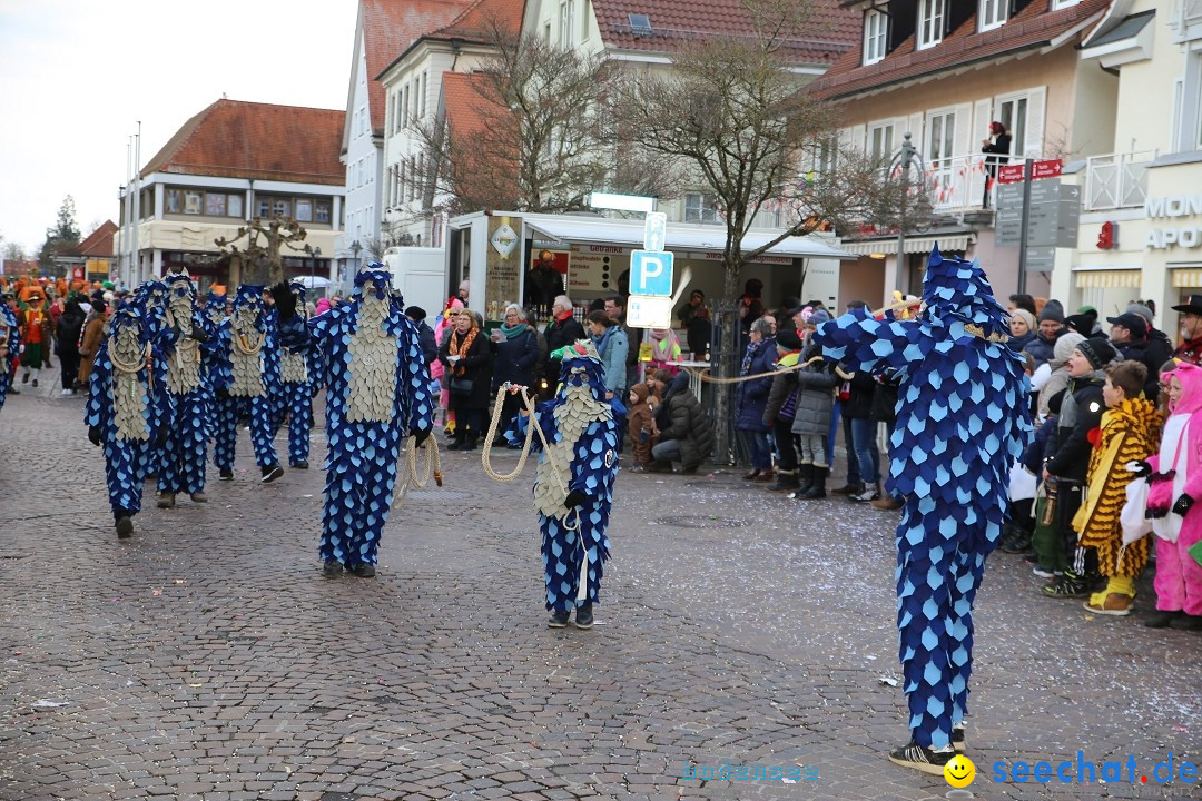 Grosser Narrensprung: Langenargen am Bodensee, 19.01.2020