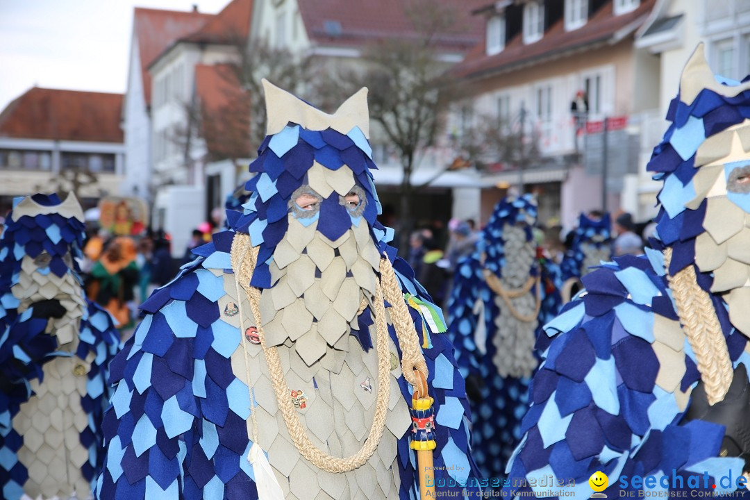 Grosser Narrensprung: Langenargen am Bodensee, 19.01.2020