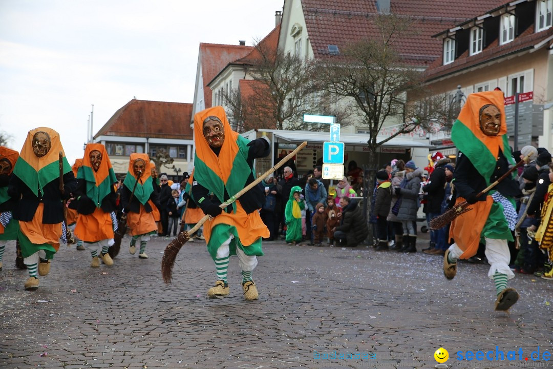 Grosser Narrensprung: Langenargen am Bodensee, 19.01.2020