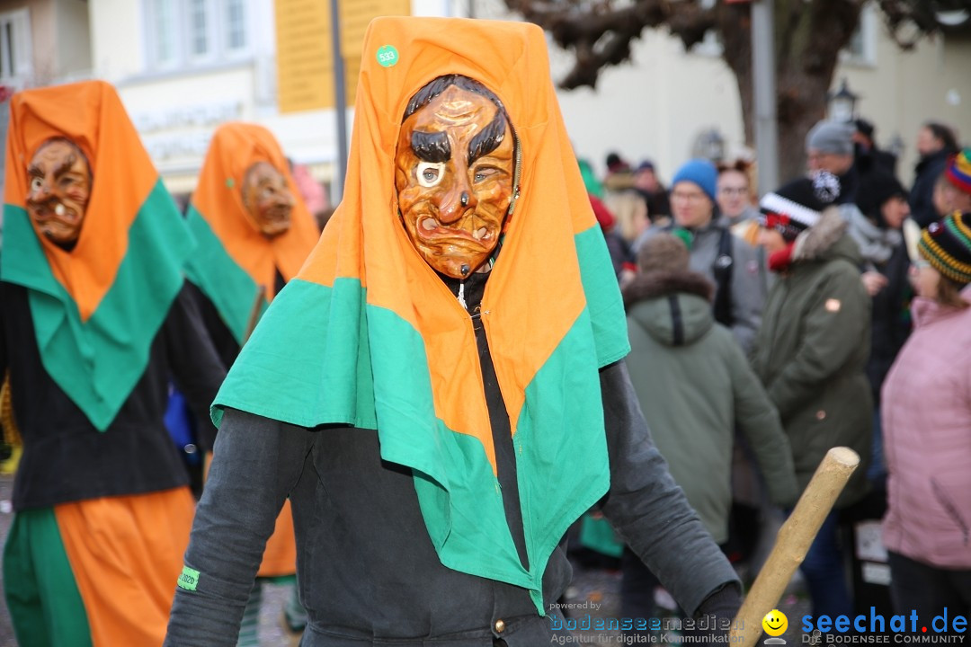 Grosser Narrensprung: Langenargen am Bodensee, 19.01.2020