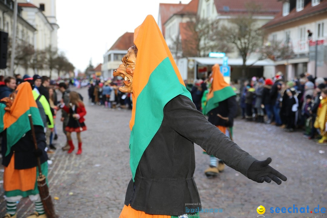 Grosser Narrensprung: Langenargen am Bodensee, 19.01.2020