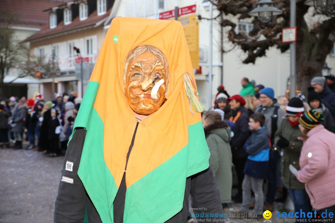 Grosser Narrensprung: Langenargen am Bodensee, 19.01.2020