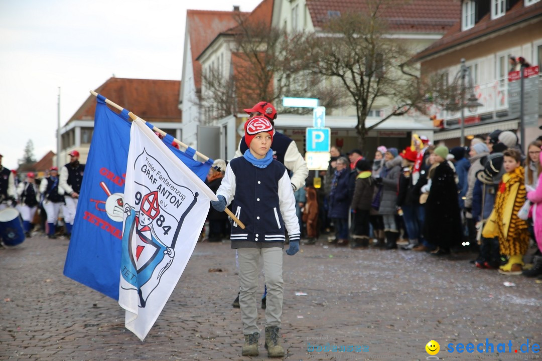 Grosser Narrensprung: Langenargen am Bodensee, 19.01.2020