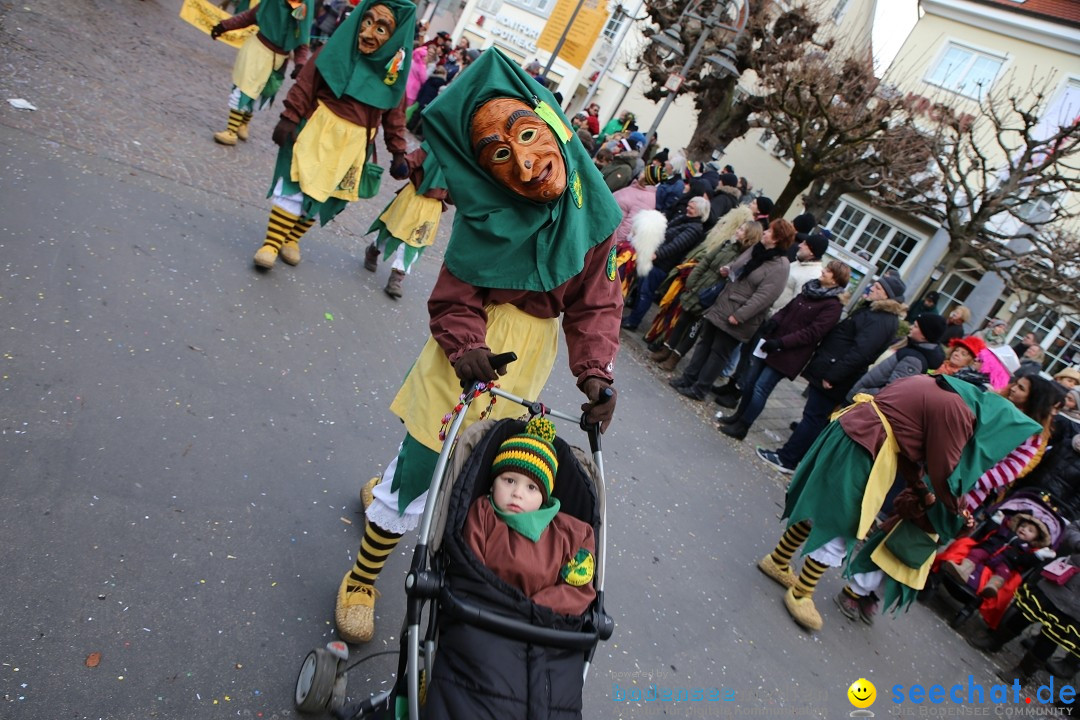 Grosser Narrensprung: Langenargen am Bodensee, 19.01.2020