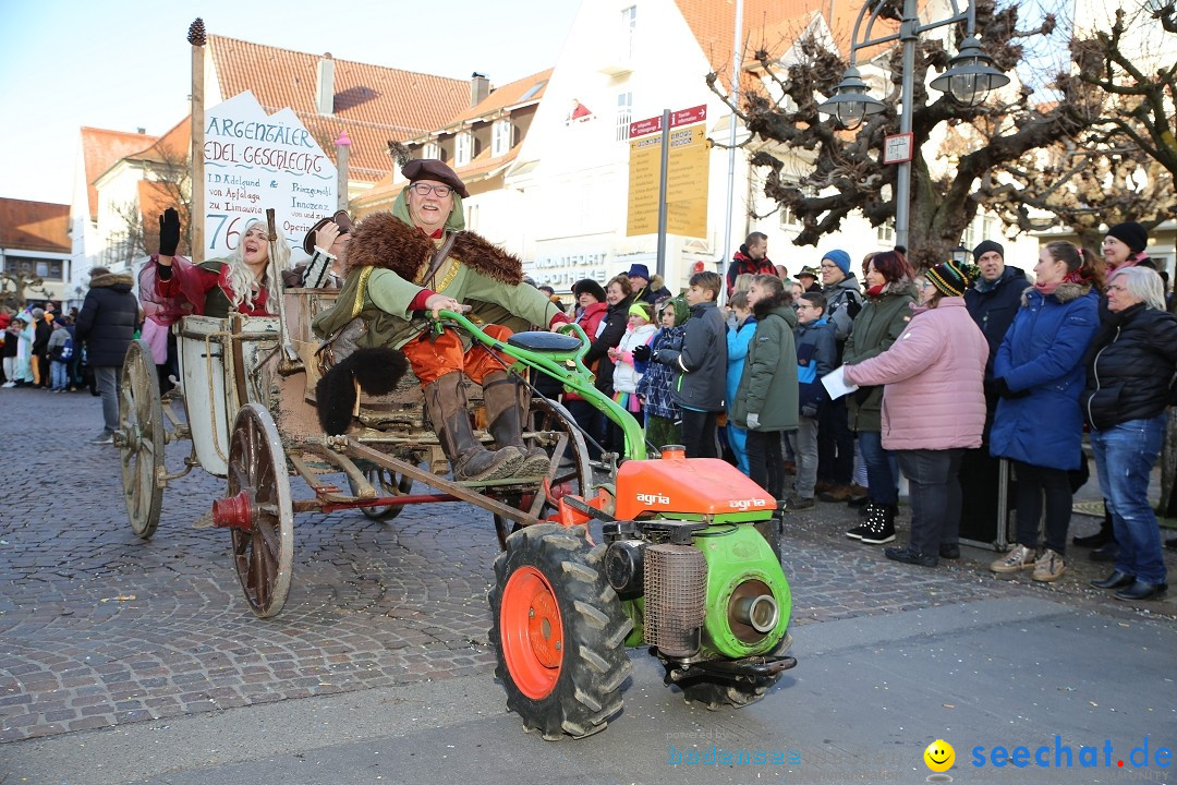 Grosser Narrensprung: Langenargen am Bodensee, 19.01.2020