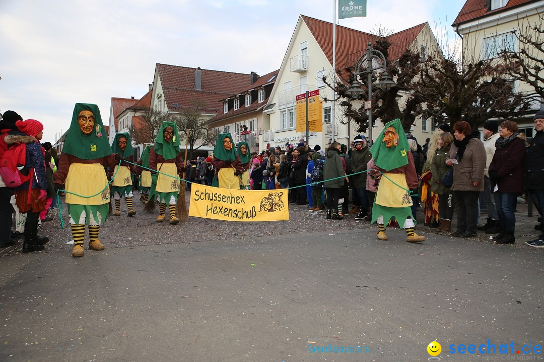 Grosser Narrensprung: Langenargen am Bodensee, 19.01.2020