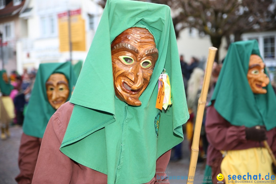 Grosser Narrensprung: Langenargen am Bodensee, 19.01.2020