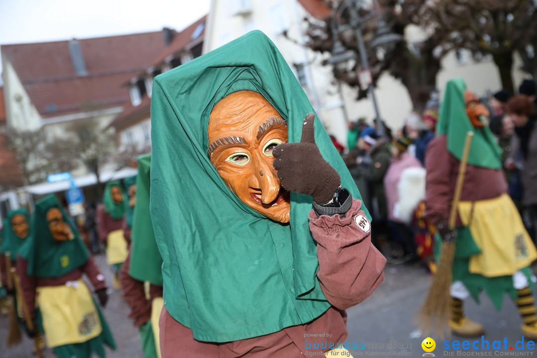 Grosser Narrensprung: Langenargen am Bodensee, 19.01.2020