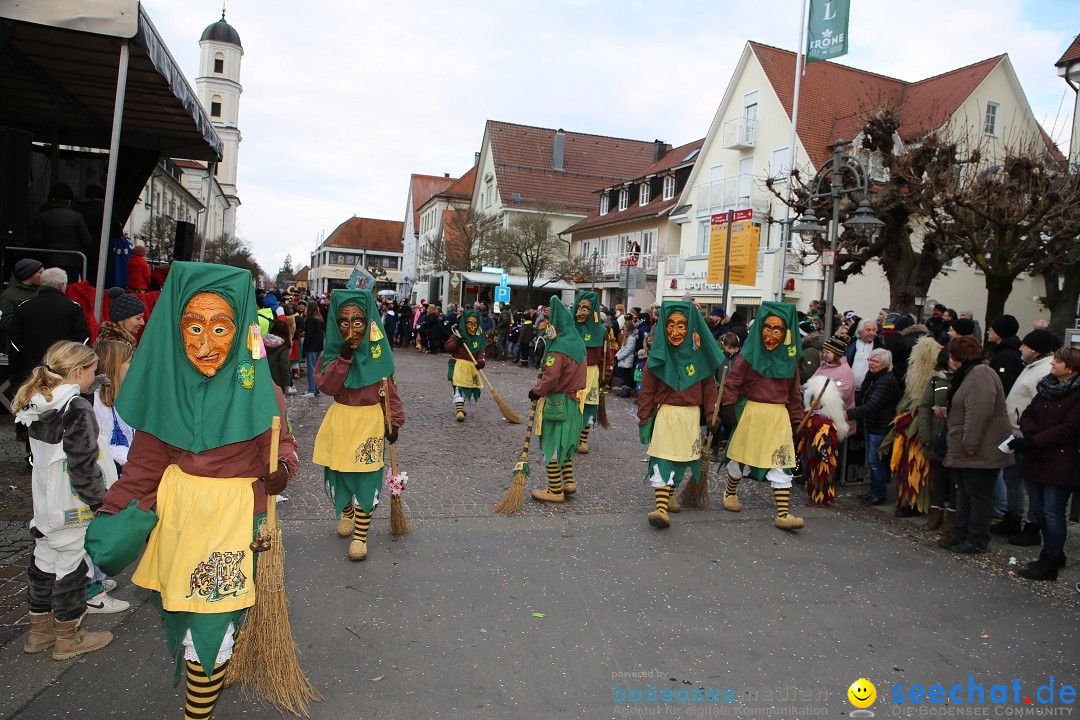 Grosser Narrensprung: Langenargen am Bodensee, 19.01.2020