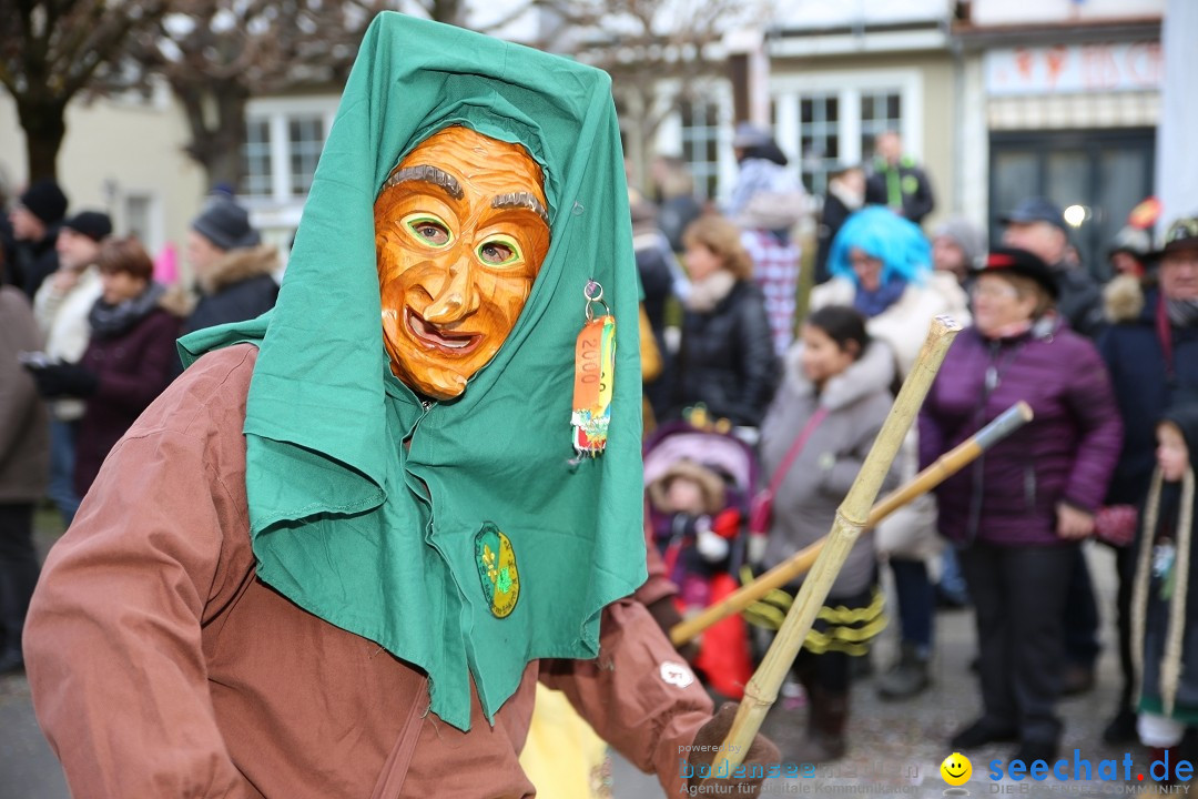 Grosser Narrensprung: Langenargen am Bodensee, 19.01.2020