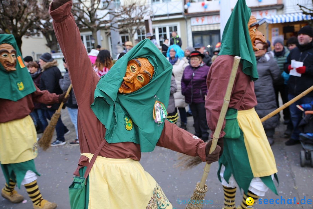 Grosser Narrensprung: Langenargen am Bodensee, 19.01.2020