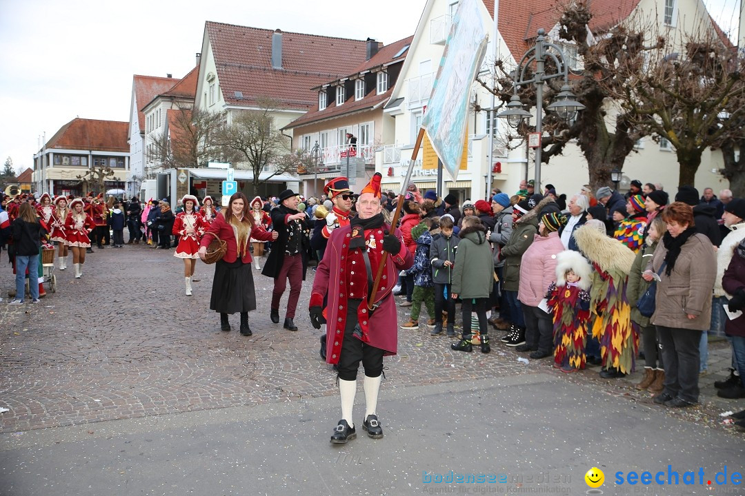 Grosser Narrensprung: Langenargen am Bodensee, 19.01.2020