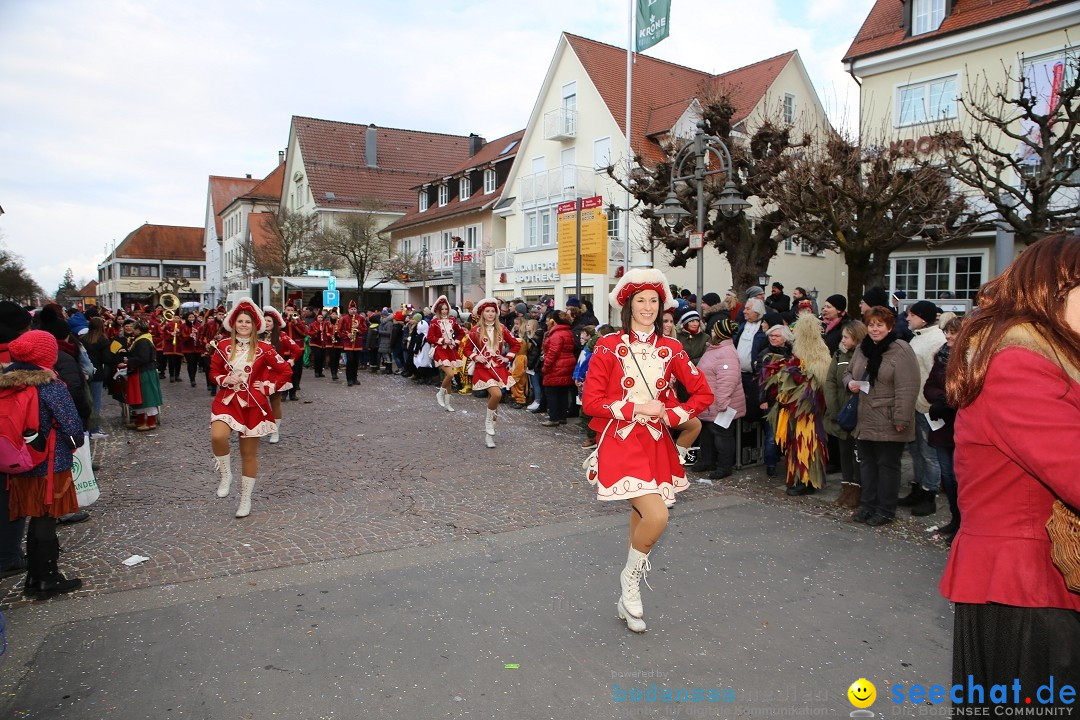 Grosser Narrensprung: Langenargen am Bodensee, 19.01.2020