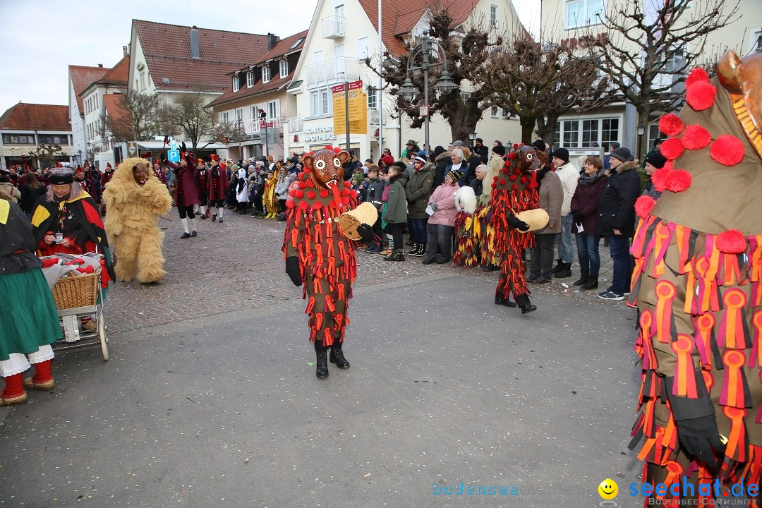 Grosser Narrensprung: Langenargen am Bodensee, 19.01.2020