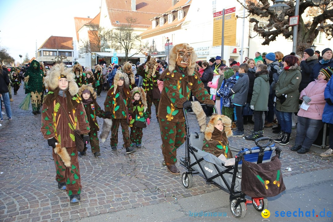 Grosser Narrensprung: Langenargen am Bodensee, 19.01.2020