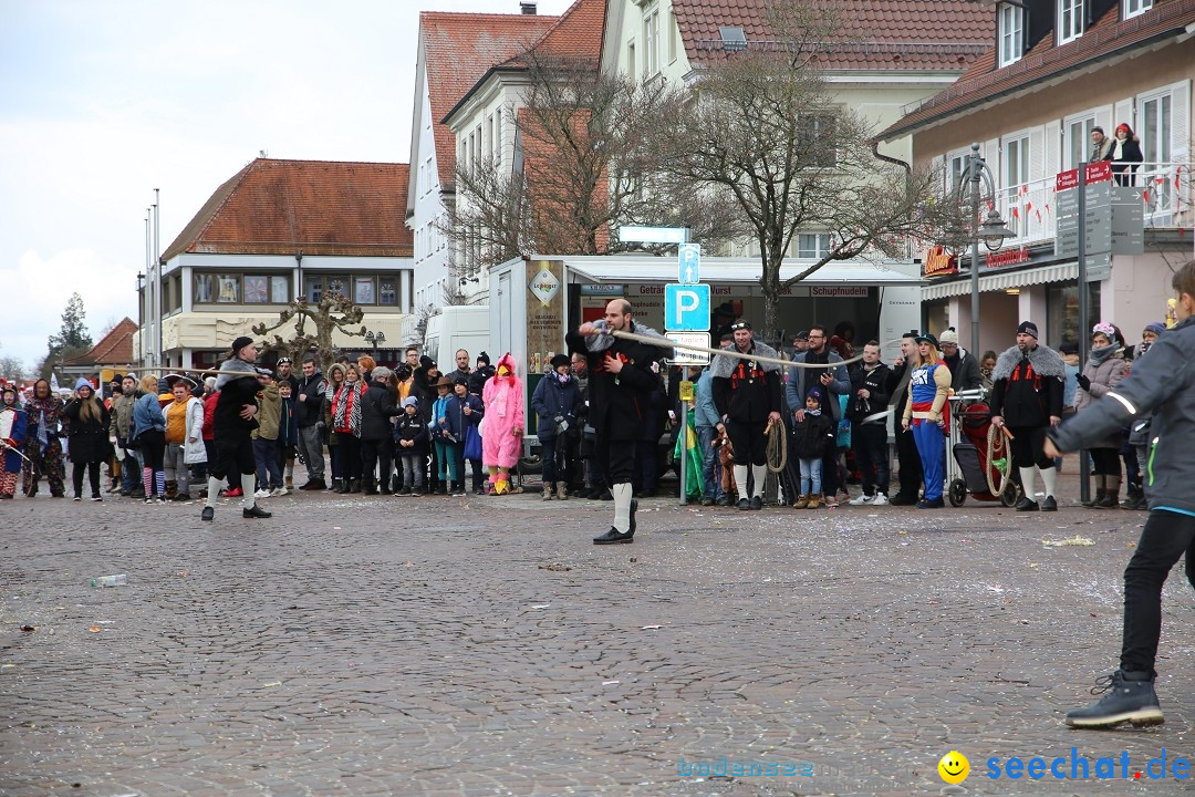 Grosser Narrensprung: Langenargen am Bodensee, 19.01.2020