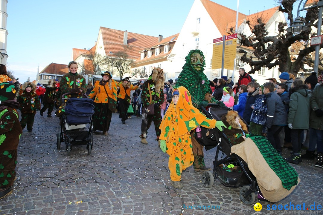 Grosser Narrensprung: Langenargen am Bodensee, 19.01.2020