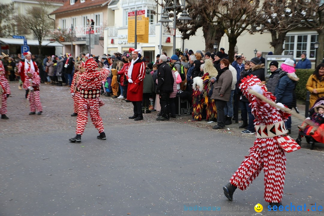 Grosser Narrensprung: Langenargen am Bodensee, 19.01.2020